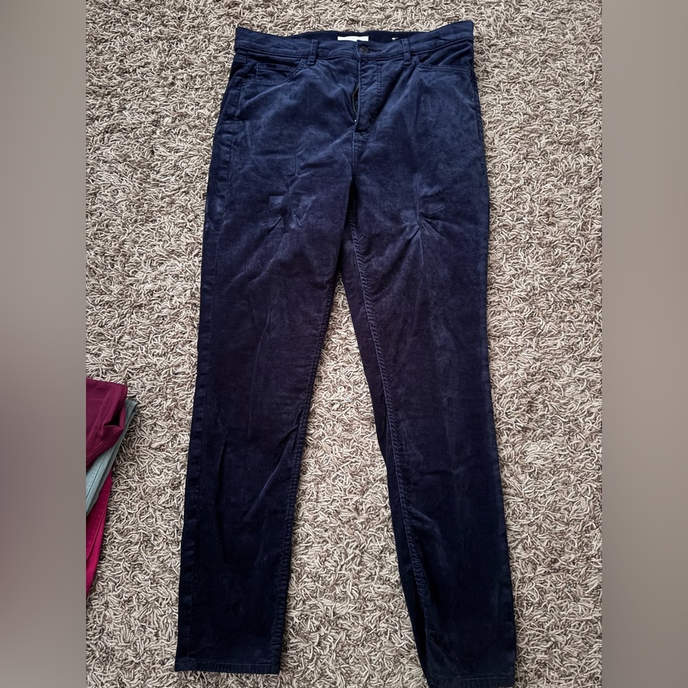 Loft Women’s Navy Velour Pants size 10/30